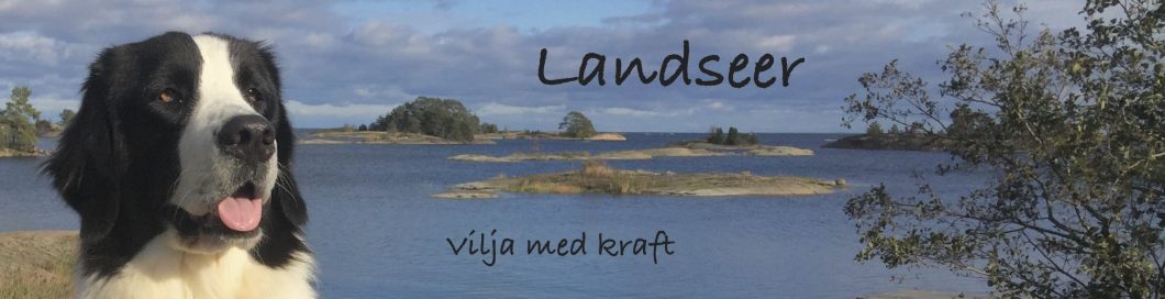 Landseer logo